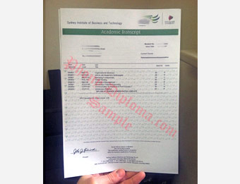 Sydney Institute of Business and Technology - Fake Diploma Sample from Australia